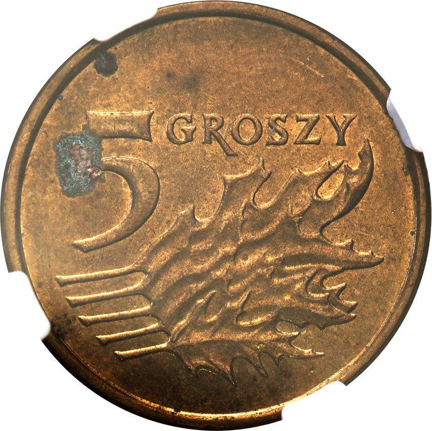 III RP. 5 groszy 2005 NGC MINT ERROR NGC UNC - skrętka
